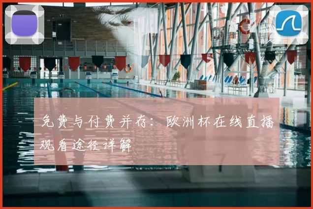 免费与付费并存:欧洲杯在线直播观看途径详解