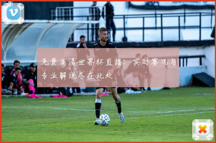 免费高清世界杯直播：实时赛况与专业解说尽在此处