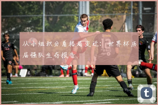 从小组积分看格局变迁:世界杯历届强队生存报告