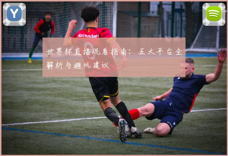 世界杯直播观看指南：五大平台全解析与避坑建议
