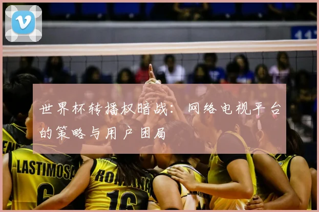 世界杯转播权暗战：网络电视平台的策略与用户困局