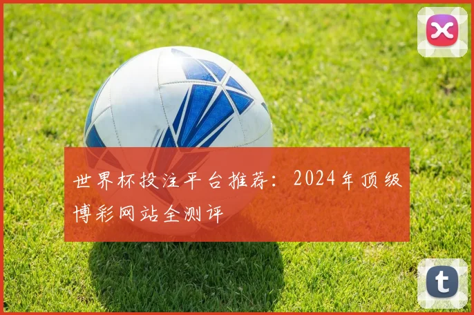 世界杯投注平台推荐:2024年顶级博彩网站全测评