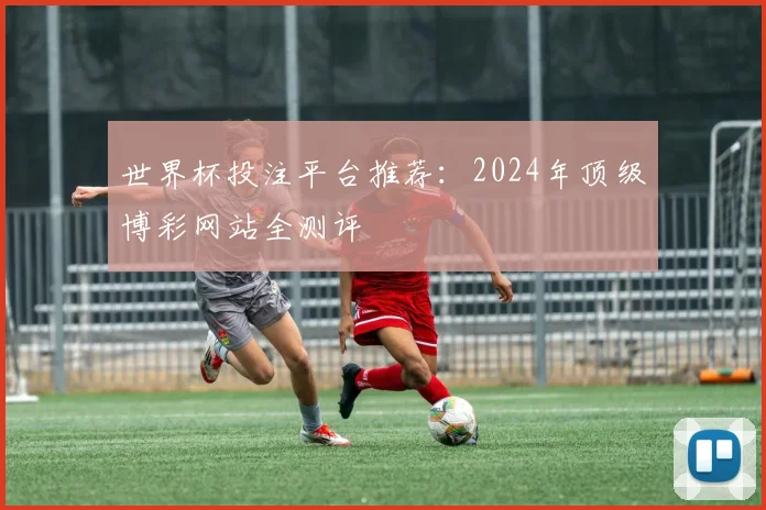 世界杯投注平台推荐:2024年顶级博彩网站全测评